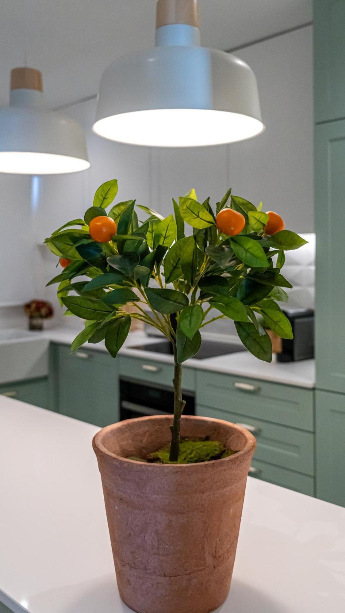 T2 Dina'S Place Назаре Екстериор снимка